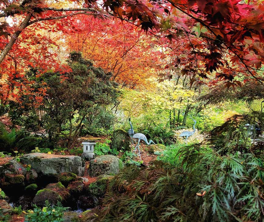 Bellevue Botanical Garden