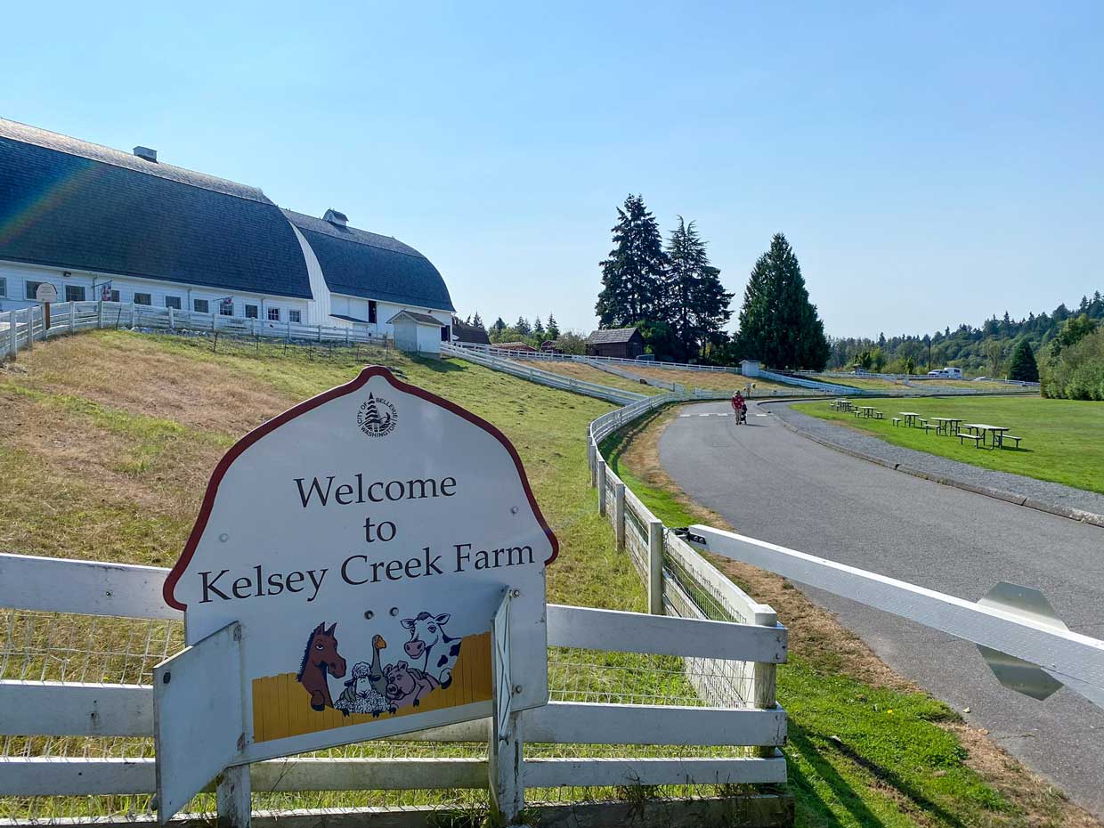 Kelsey Creek Farm in Bellevue is a charming, family-friendly destination offering year-round animal encounters and seasonal educational programs. With historic barns, wide open pastures, and friendly animals like sheep, goats, chickens, and pigs, it’s a favorite spot for families with young children. The farm also hosts one of the area’s most popular summer camps, where kids can enjoy outdoor play, crafts, animal care experiences, and nature-based learning. Located just minutes from downtown Bellevue, it’s the perfect blend of hands-on farm life and urban convenience.