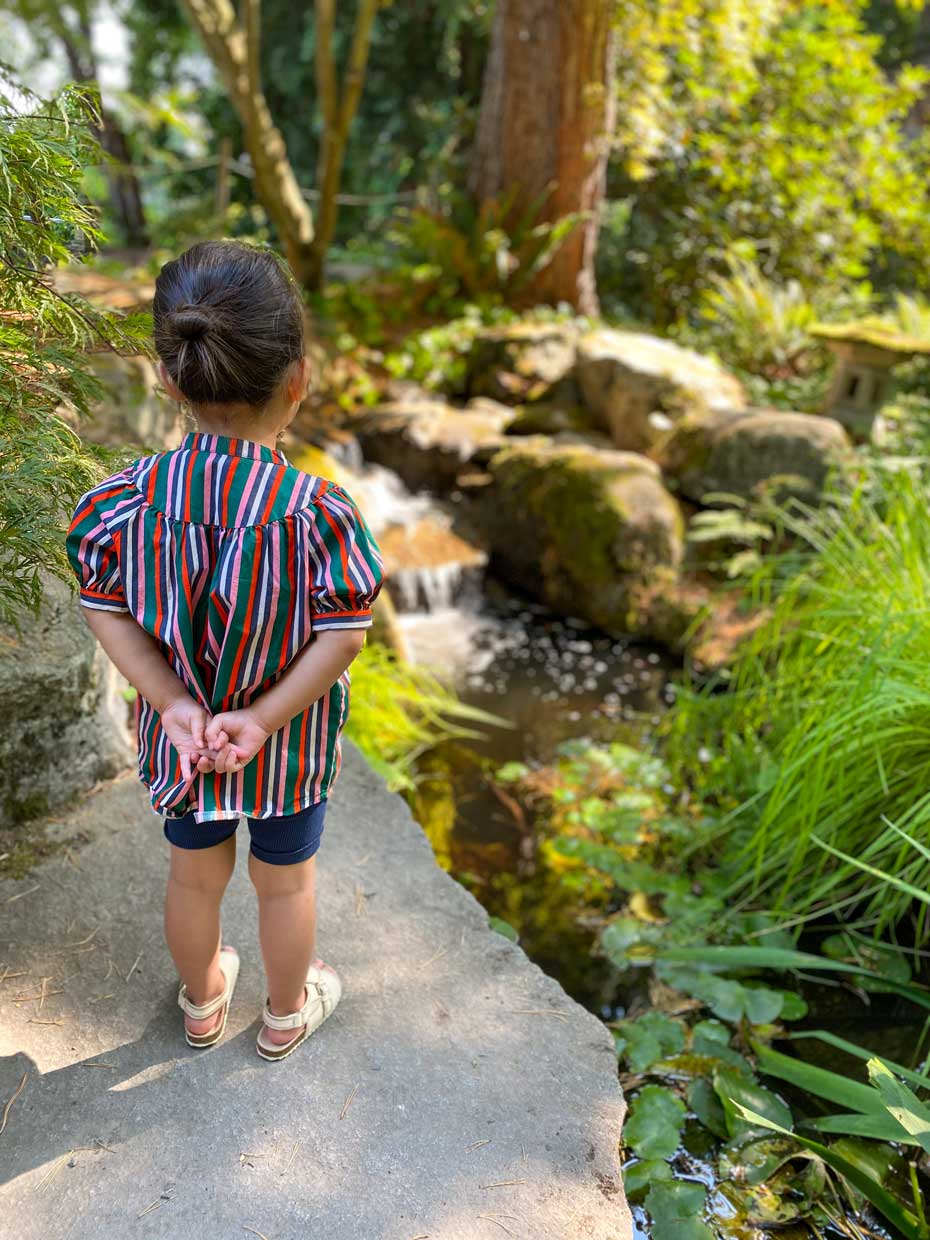 Toddler girl standing quietly at Bellevue Botanical Garden, gazing at a peaceful waterfall beside the Japanese tea house—an inviting and serene moment during a family visit.