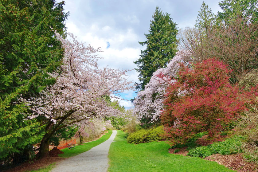 visit seattle arboretum