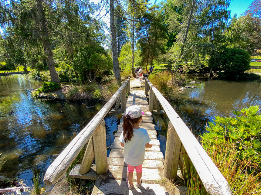 A toddler walks along a wooden bridge through the peaceful duck pond at Point Defiance Park, surrounded by water, ducks, and greenery. This quiet nature path is perfect for young kids to explore. For families visiting, a helpful restroom tip: the main bathroom at Point Defiance Park is conveniently located right next to the duck pond.