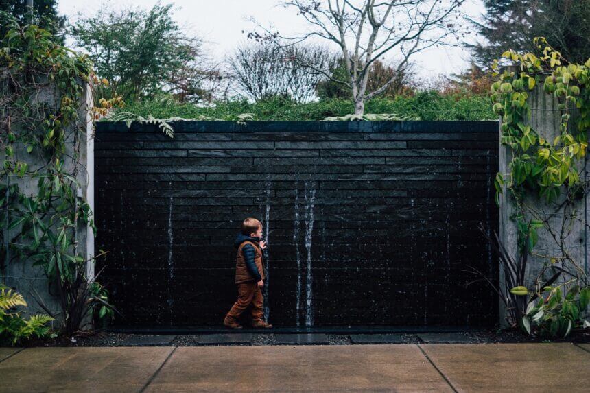 Bellevue Botanical Garden shou sugi-ban style waterfall wall was very engaging.
