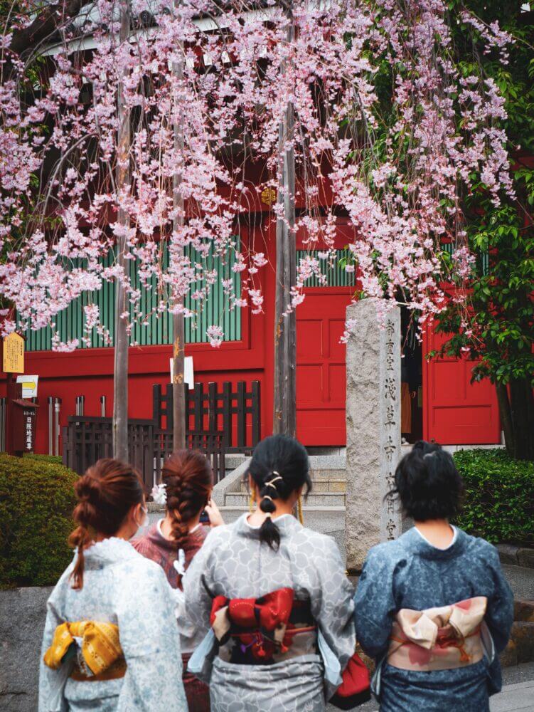 Hanami in Asakusa, Tokyo, with girls dressed in traditional kimonos celebrating cherry blossoms in full bloom. This springtime tradition in Japan brings people together to appreciate the beauty of sakura, a cultural practice that has influenced cherry blossom celebrations worldwide, including in Seattle. A blog post explores the connection between Seattle’s cherry blossom season and its roots in Japan’s Hanami festival.