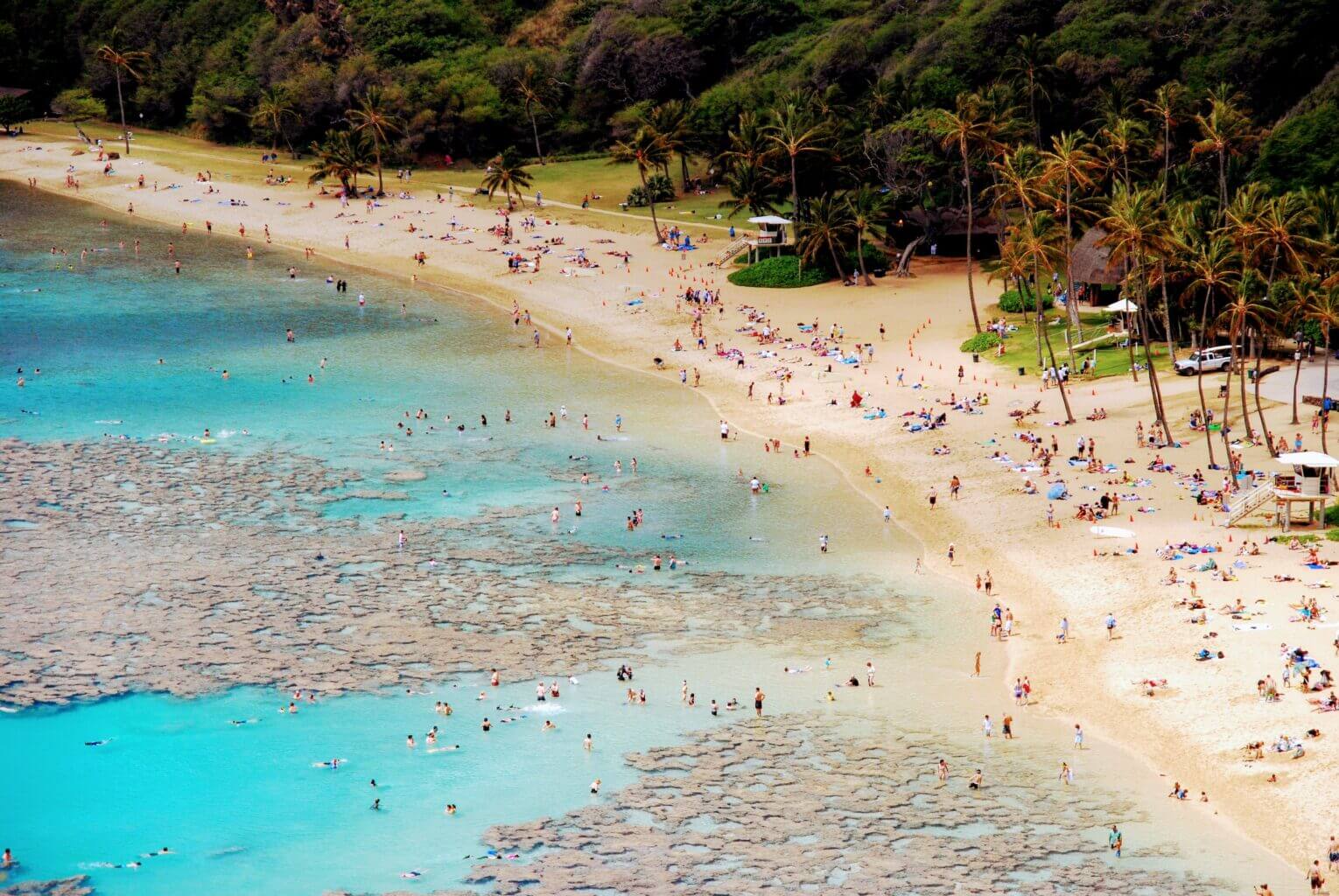 Hanauma Bay Hawaii, one of the top Oahu beaches for snorkeling and seeing marine life