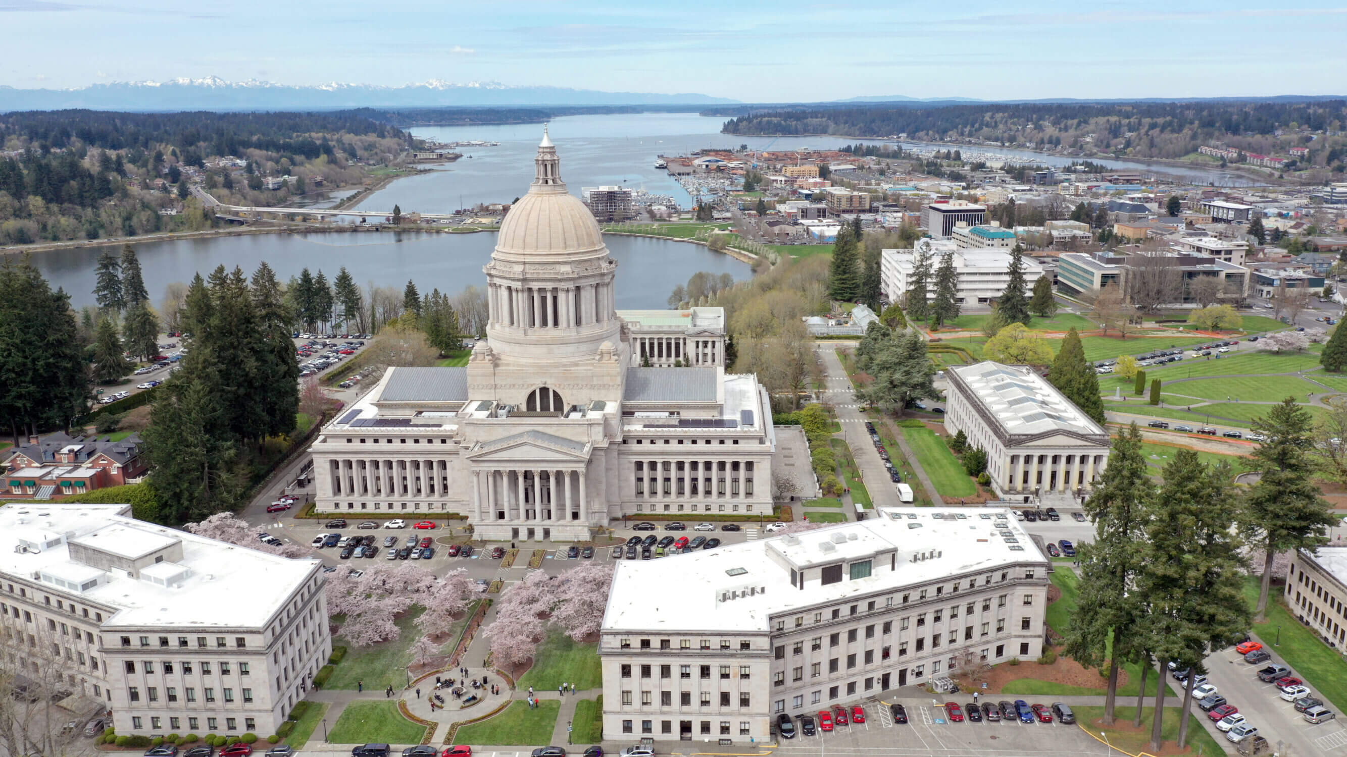 Aerial view of cherry blossoms in full bloom surrounding the Washington State Capitol building in Olympia. The pink and white sakura trees beautifully contrast with the historic architecture, creating a breathtaking springtime scene in the state’s capital.