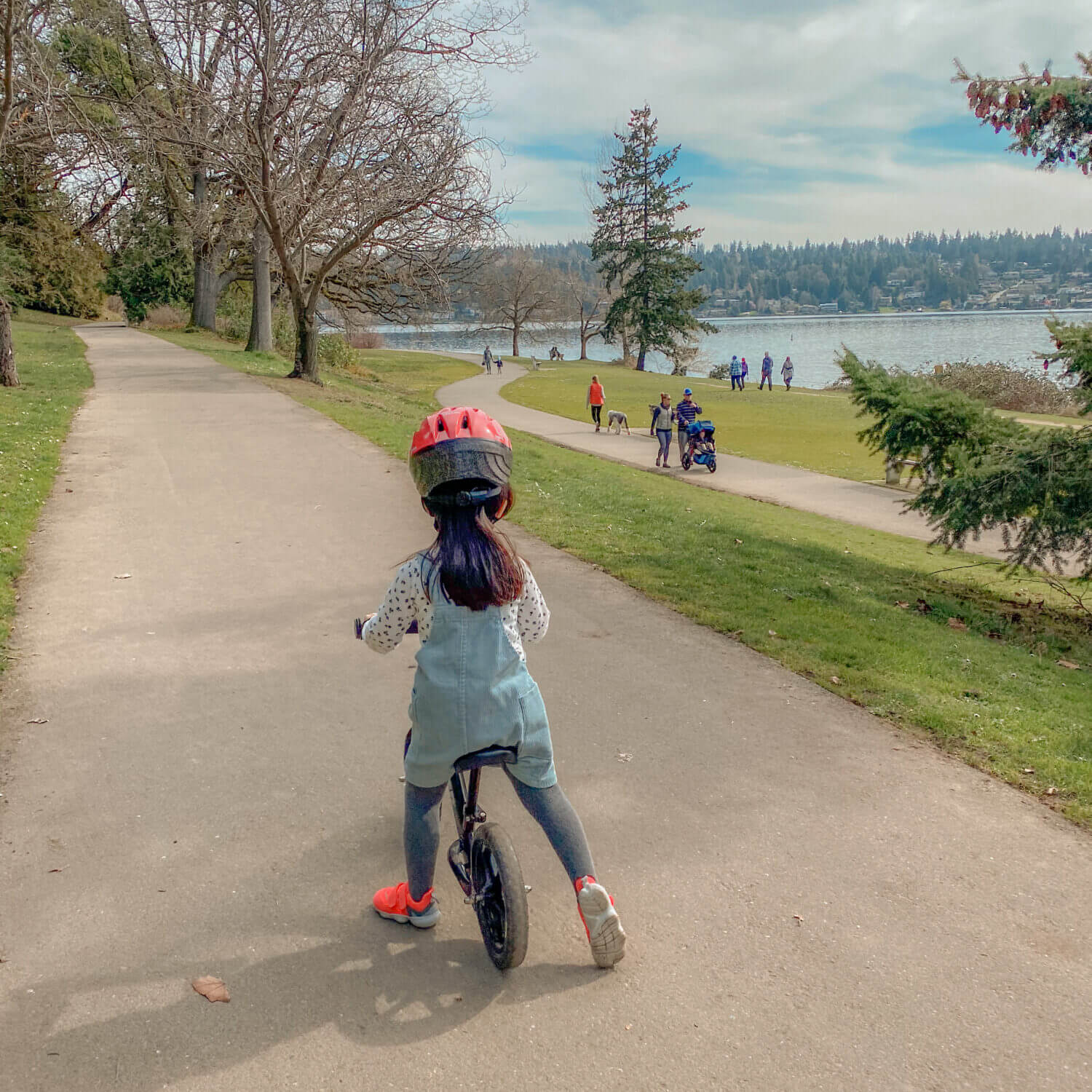 Seward Park in Seattle features a beautiful 2.4-mile paved loop around its perimeter, perfect for strollers, wheelchairs, bicycles, and scooters.