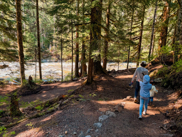 Franklin Falls Hike is a perfect beginner hike with toddlers. Here, a mom and two daughters are walking on a path that runs along a river, an hour outside of Seattle.