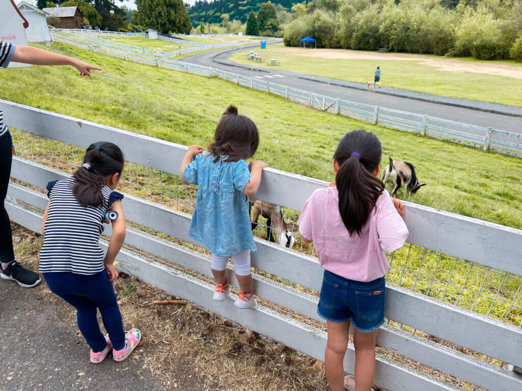Three girls lean over the wooden pen at Kelsey Creek Farm in Bellevue, curiously watching the goats inside. This charming community farm is a favorite local spot for families, offering close-up encounters with animals like goats, sheep, pigs, and chickens. A great kid-friendly activity, Kelsey Creek Farm is perfect for hands-on learning, outdoor play, and connecting with nature in the heart of Bellevue.